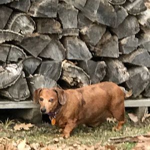 Meet your Posher, Tina